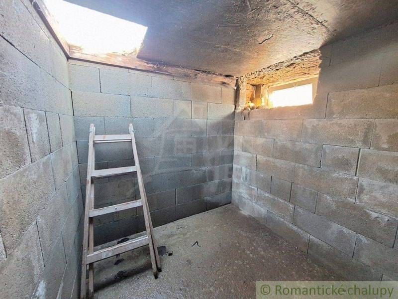 An empty room with stairs and an opening in the roof offers potential for creative gardens.