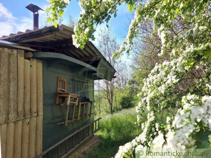 A wooden cabin in the garden, surrounded by blooming trees and natural environment.