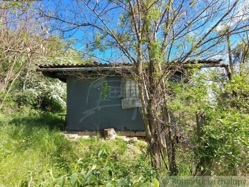 A wooden house surrounded by trees and lush greenery, suitable for gardens.