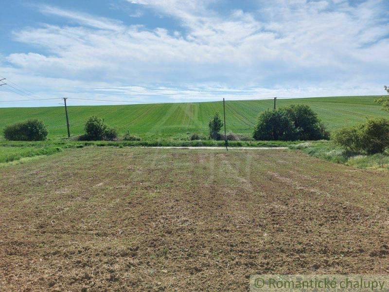 A field with lush greenery on the horizon, surrounded by diverse nature and gardens.