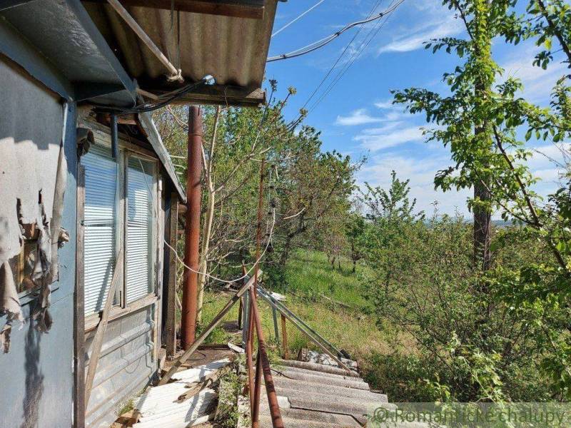 An old house on the edge of an overgrown garden with a tin roof and wooden railing.