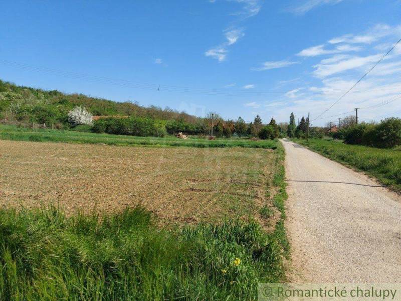 A landscape with a field near the road, trees, and gardens on the horizon under a blue sky.