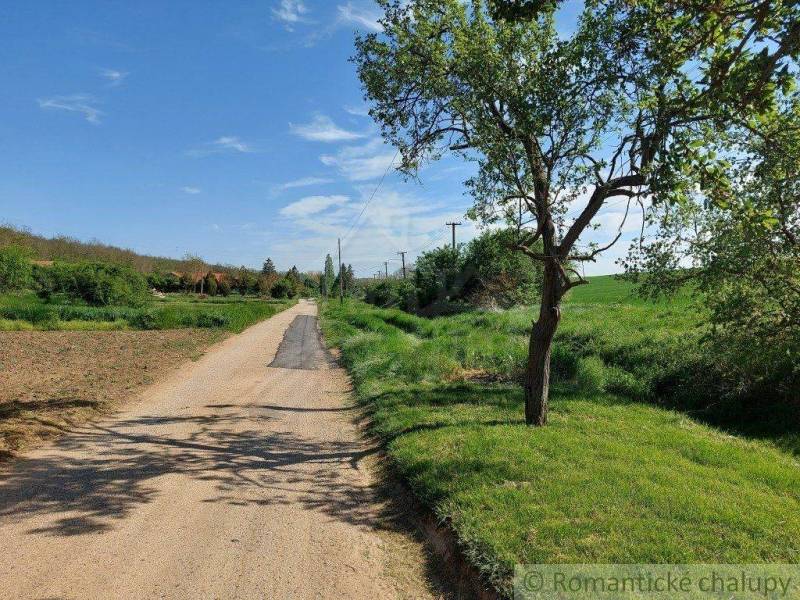 The country road leads through green gardens, lined with trees and a blue sky.