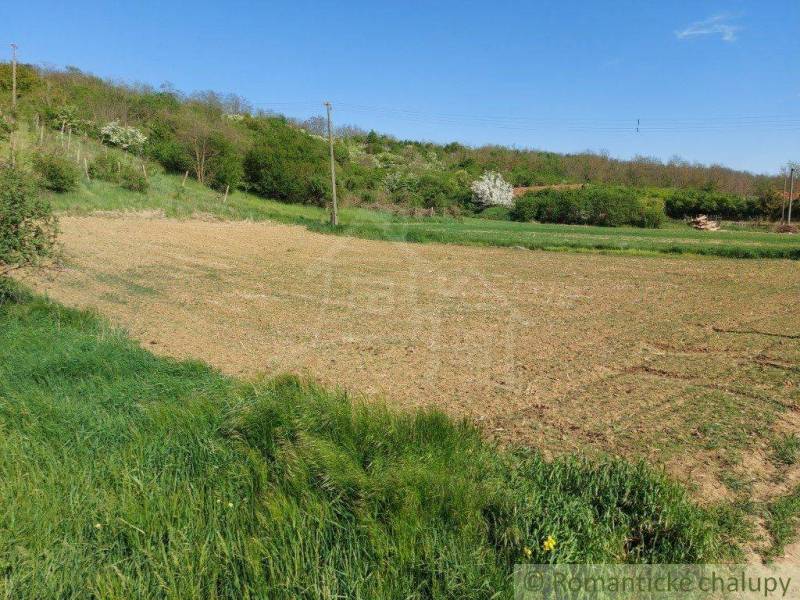 Fields and hilly landscape with green vegetation, ideal for gardens and relaxation in nature.