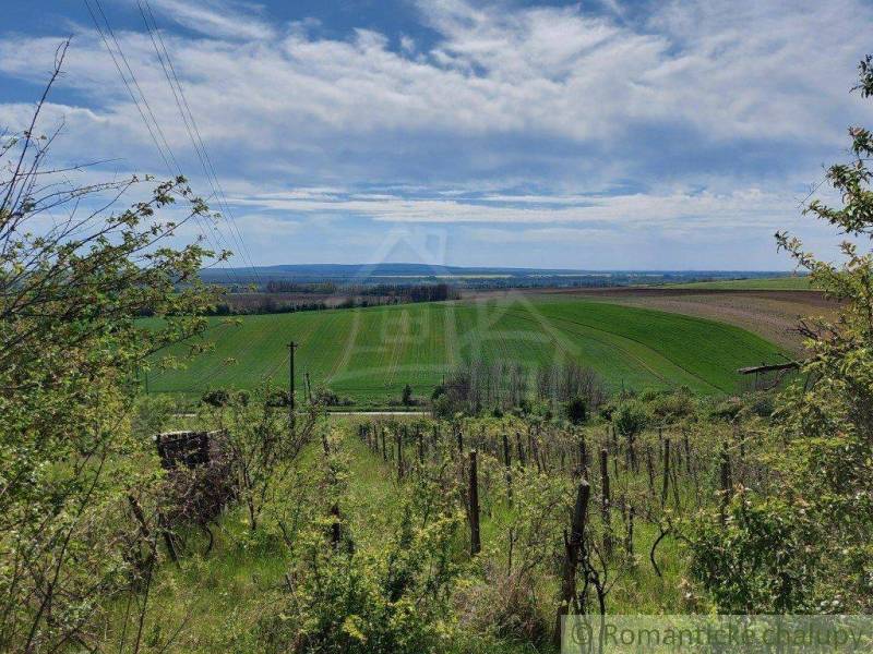 Beautiful panorama with vineyards and green fields, ideal for a winery and gardens.