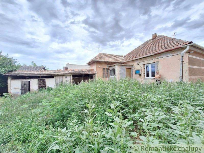 An old house surrounded by tall grass and a cottage in a rustic setting.