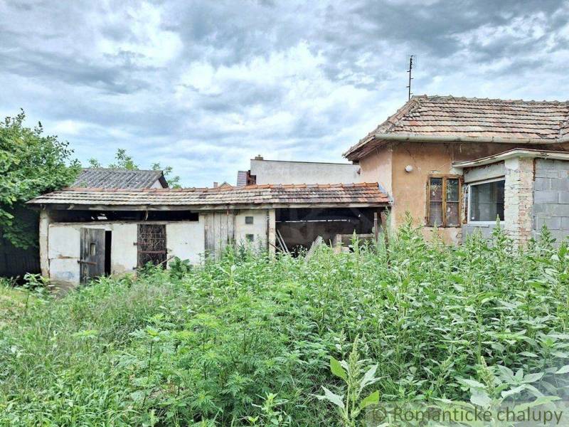 An old house surrounded by dense greenery and sky, ideal for a peaceful cottage.