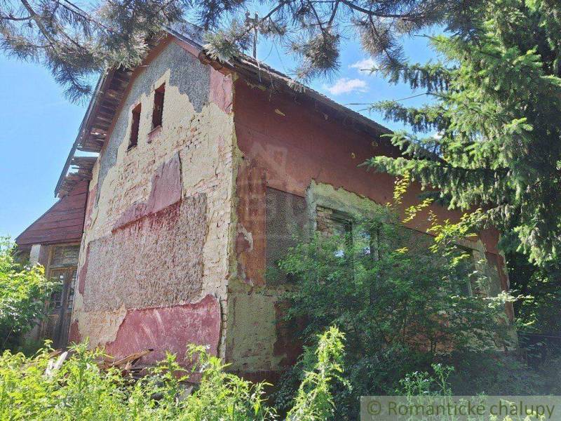Old family house surrounded by greenery, suitable for renovation in a beautiful setting.