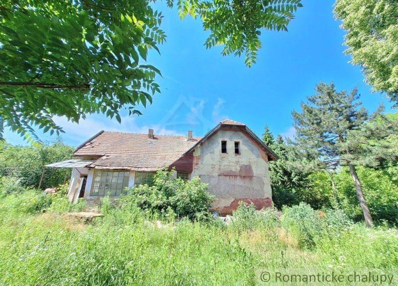 An older family house surrounded by green nature, tall trees, and a blue sky.