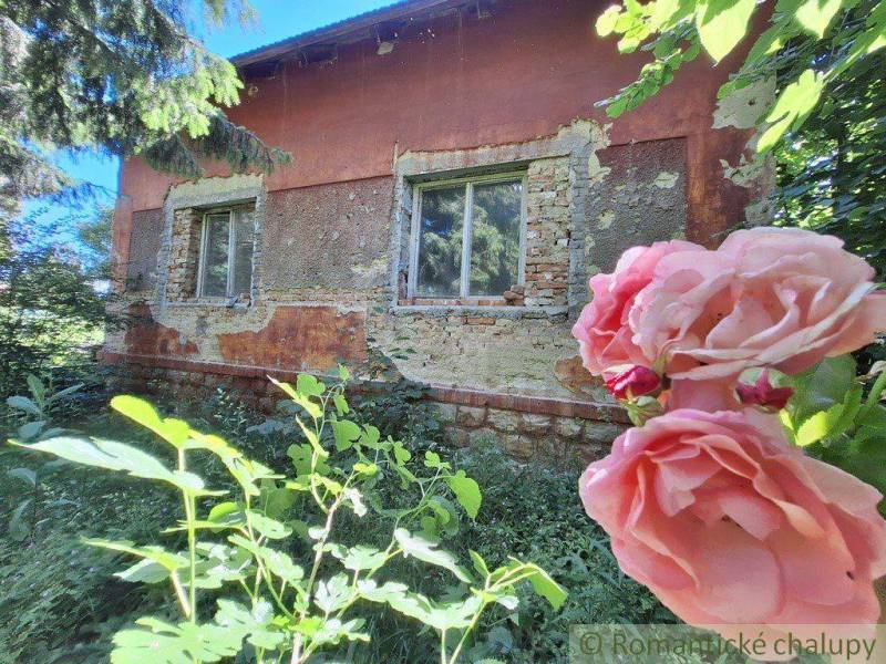 A family house with a neglected facade, roses, and greenery in the garden.