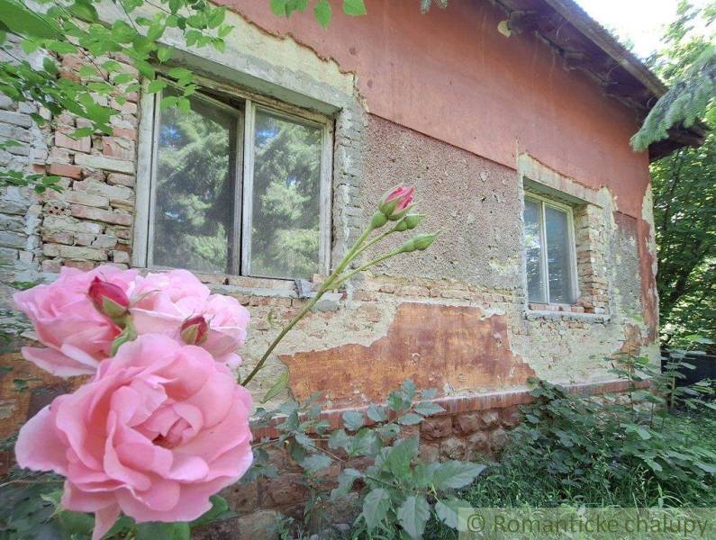 An old cottage with pink flowers in front of the windows, surrounded by greenery. A family house in nature.