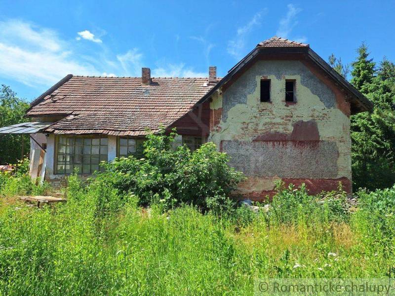 An old family house with a damaged facade in a natural environment.