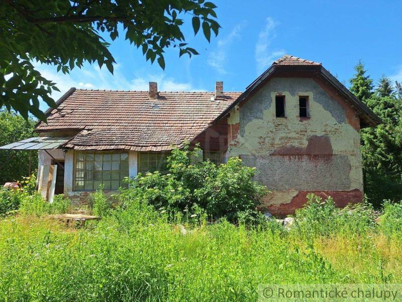 An old family house with damaged plaster surrounded by lush vegetation and a blue sky.