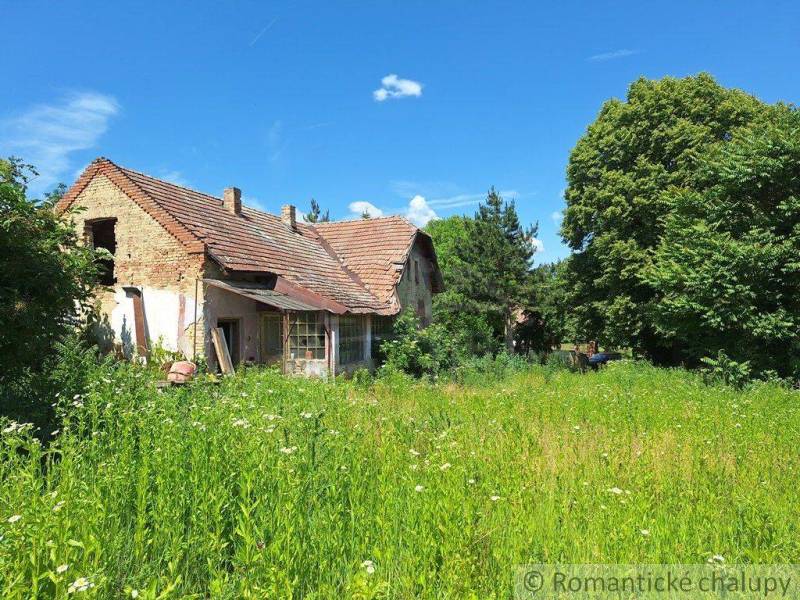 An older family house surrounded by nature, with a large garden and a blue sky.