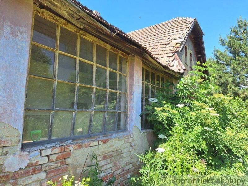 An old house with a damaged roof, windows, and overgrown with greenery suggests neglect of the building.