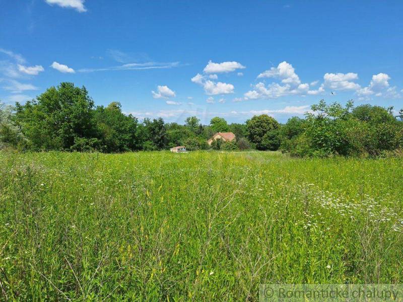 Grassy meadow, family house surrounded by trees, blue sky with clouds.
