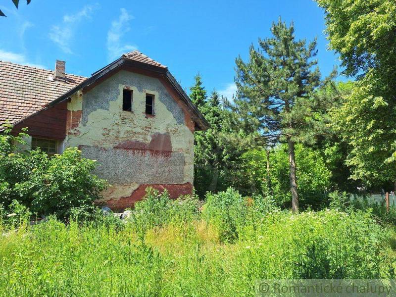 An old family house with a damaged facade, surrounded by dense greenery and trees.