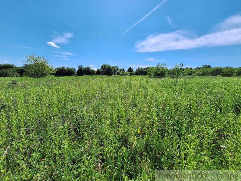 A beautiful meadow with a blue sky, ideal for building a family house.