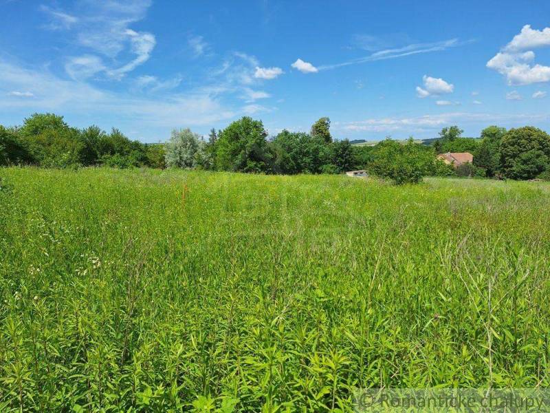 A green meadow at the end of which a family house surrounded by trees can be seen.