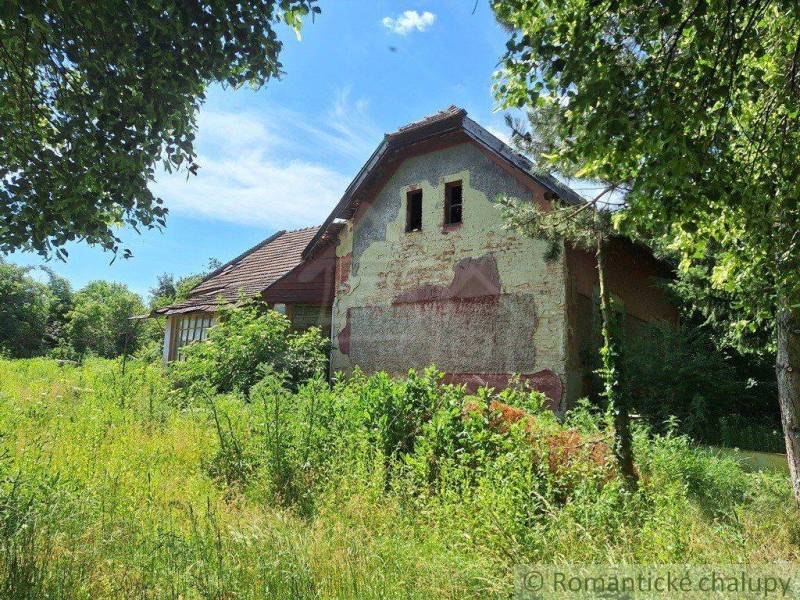 The old cottage stands in an overgrown garden, surrounded by trees and lush vegetation.