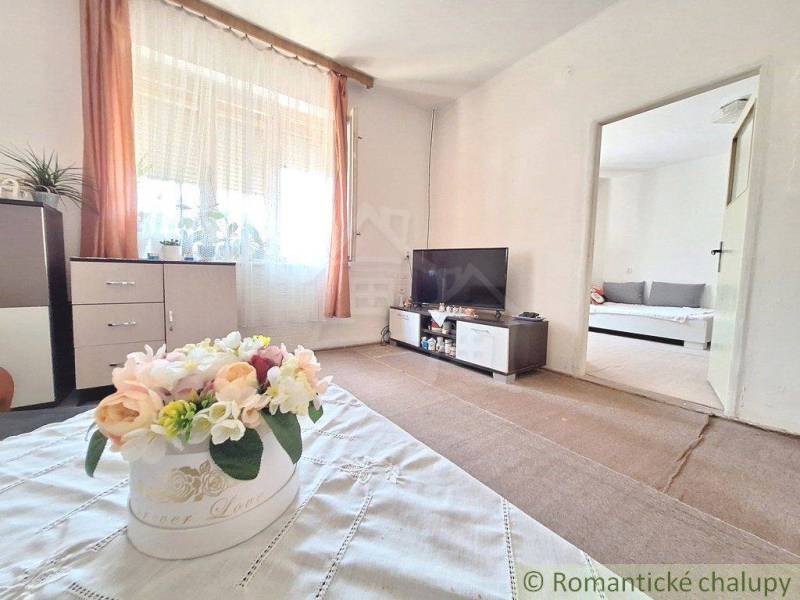 Living room of a family house: a television, flowers, and a dresser create a cozy atmosphere.