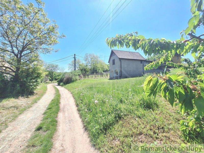 A country house surrounded by greenery and an access road in Komárno, Unique properties.
