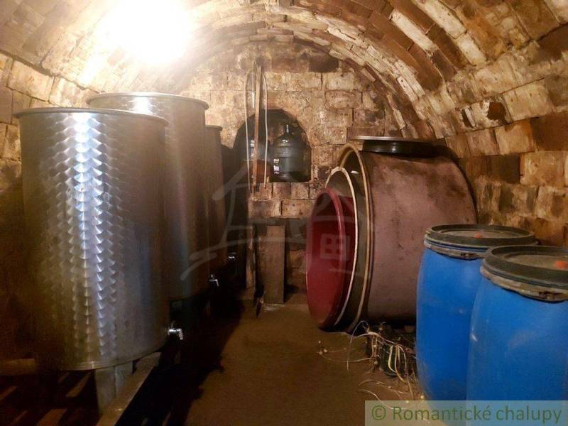 A wine cellar with barrels and containers, special properties with a brick vault and light.