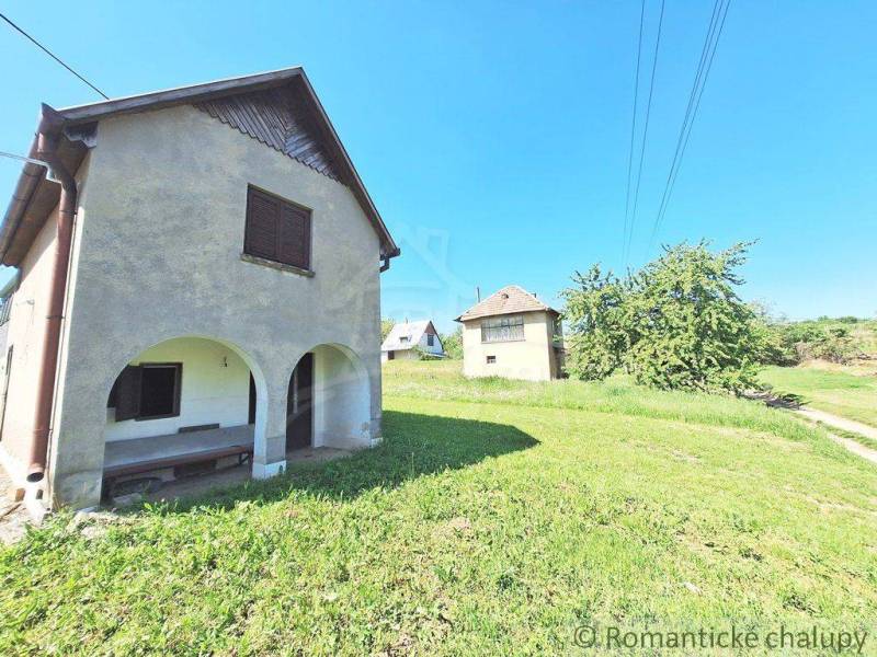 An older house with a garden in the countryside around Komárno, Unique properties.