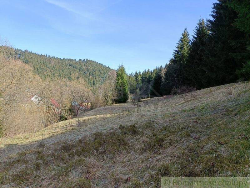 A wooded landscape with a meadow, a cabin in the background, ideal for recreation and hiking.