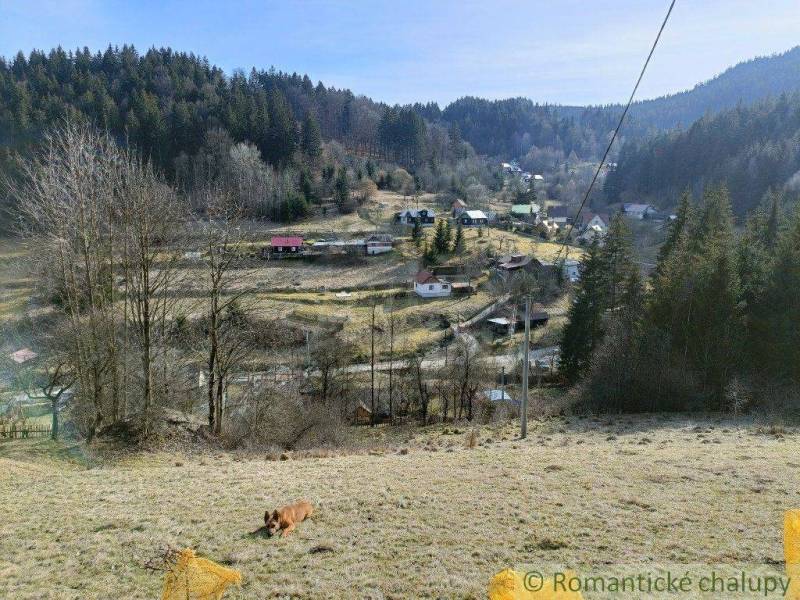 The picture shows a picturesque village, a forest, and a dog resting in a meadow, ideal for romantic cottages.