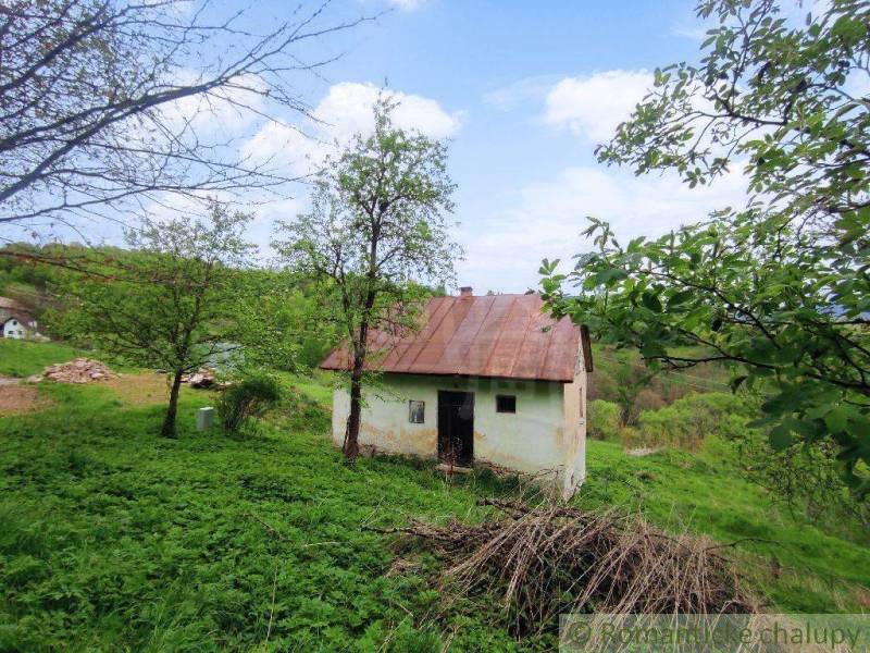 A family house with a metal roof, surrounded by nature and greenery on the property.