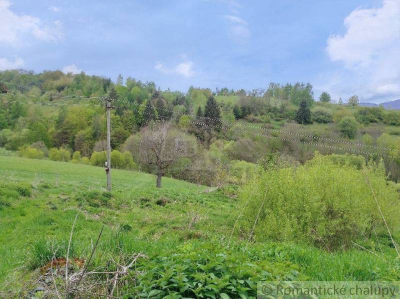 A meadow with an electric pole and a family house on a slope, surrounded by nature.