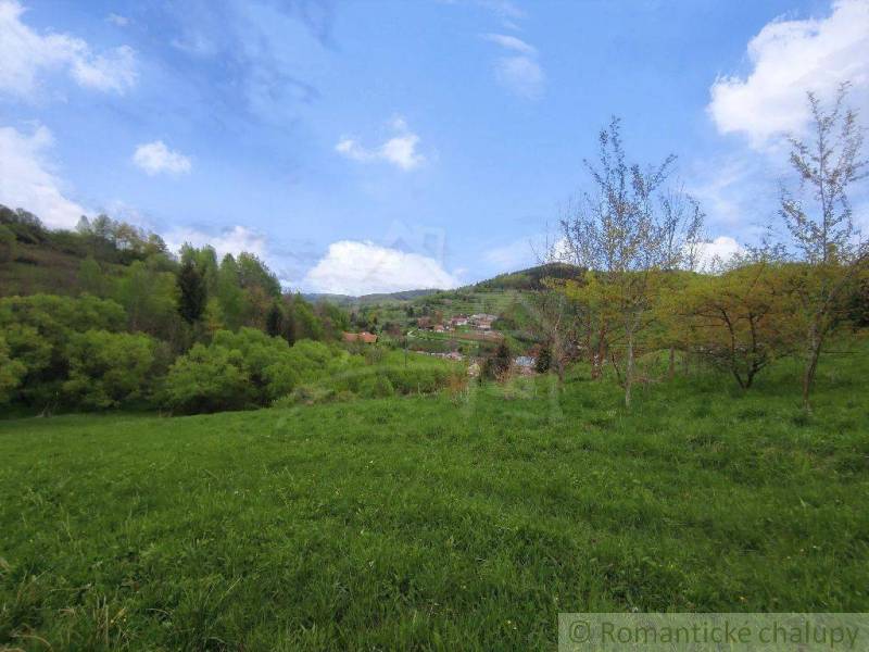 Landscape panorama with a village in the valley, greenery, and blue sky, Family house.