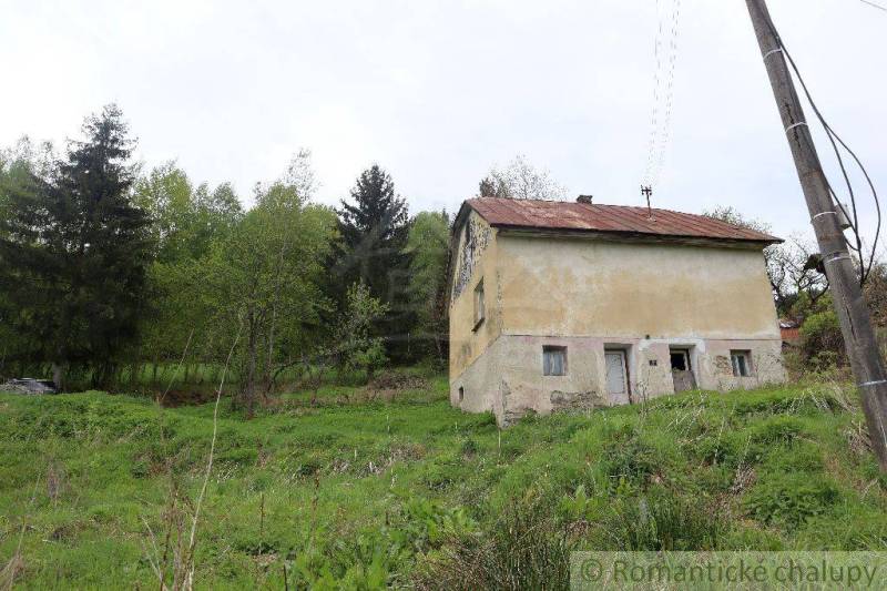 An old family house in the middle of greenery, surrounded by trees and lush nature.