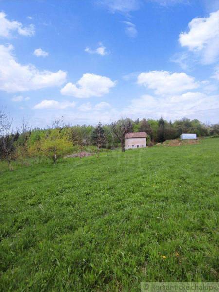 A green meadow with a family house, blue sky and clouds, surrounded by nature and trees.