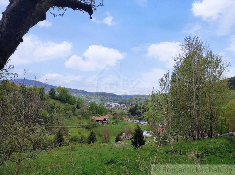 Green landscape, trees, hills, family house, village, nature, beautiful view, peaceful day.