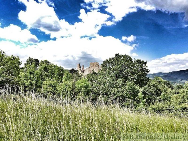 A view of the castle ruins amidst greenery and a garden under a blue sky.