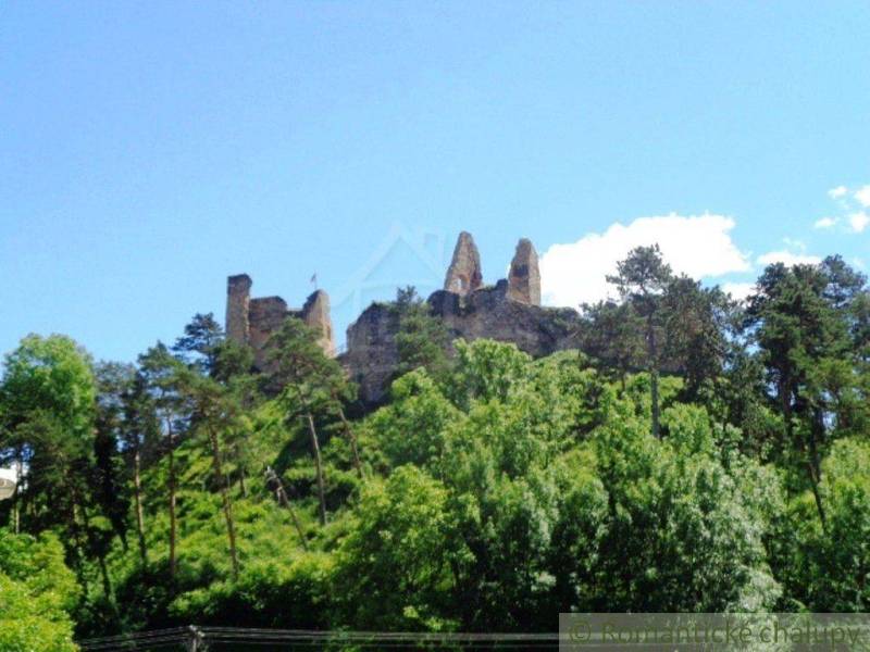 A historical castle ruin surrounded by trees in a picturesque setting, perfect for gardens.