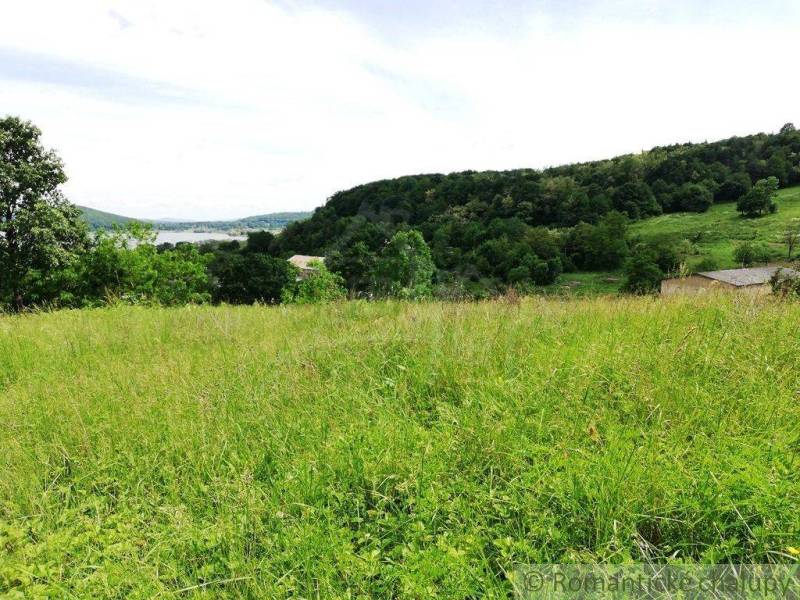 A landscape with a forest, meadow, and a visible lake in the distance. Gardens offer natural beauty.