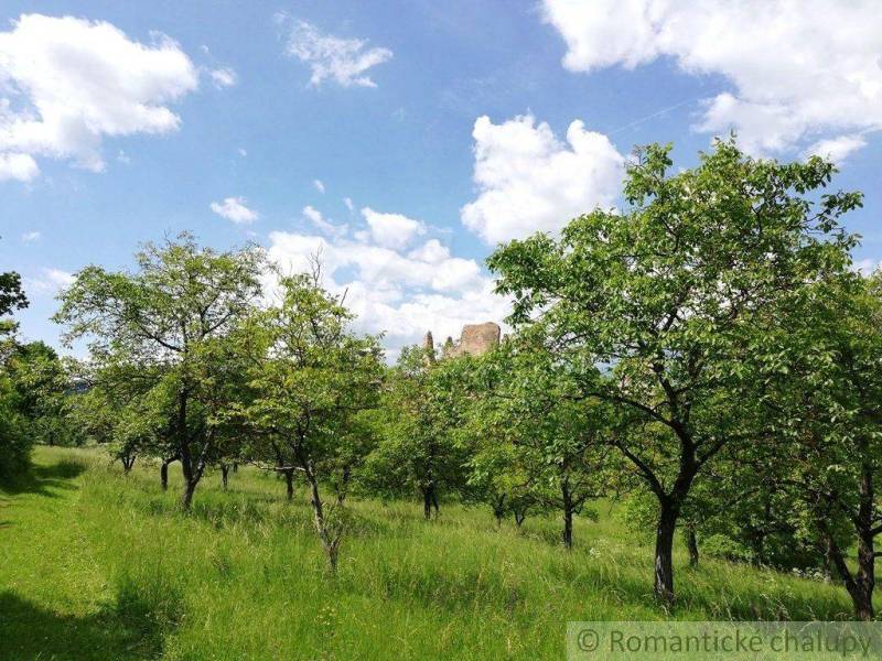 A green orchard, a castle in the background, a beautiful day in Slovak gardens.