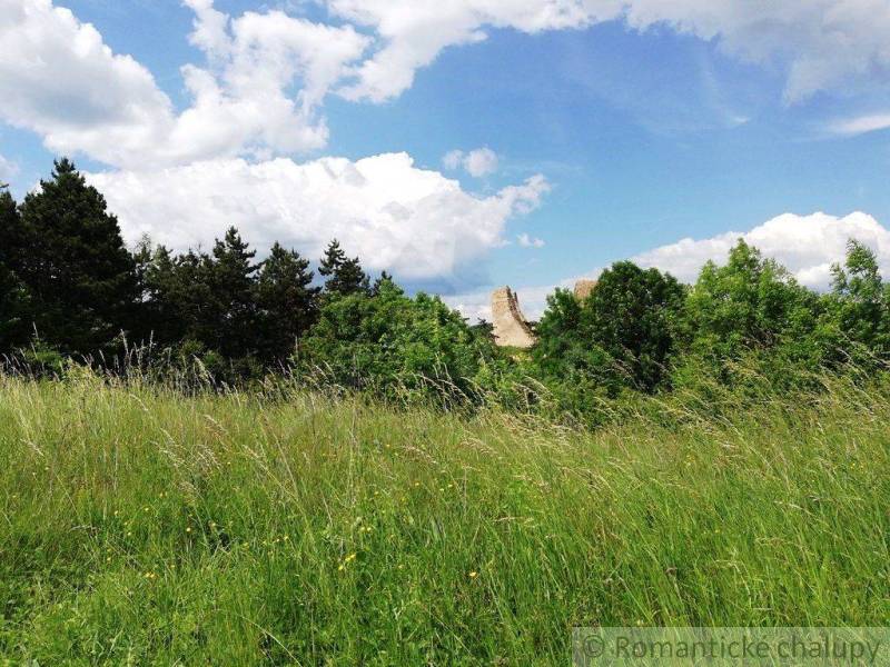 Ruins of a castle in a meadow surrounded by trees and gardens under a blue sky with clouds.