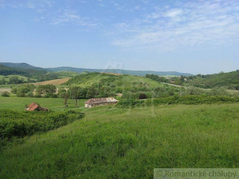 Hilly landscape with meadows and family houses, peaceful environment, nature, and yard.