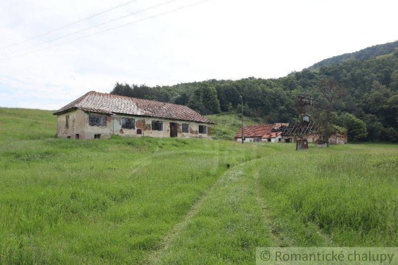 Abandoned family house in green nature, rural landscape, outdated building.