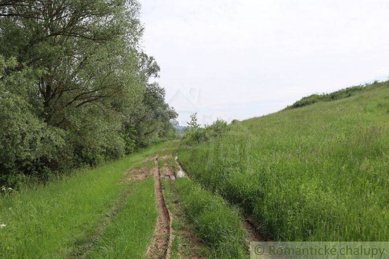 A landscape with a green meadow, mud, and trees, an ideal location for a family house.