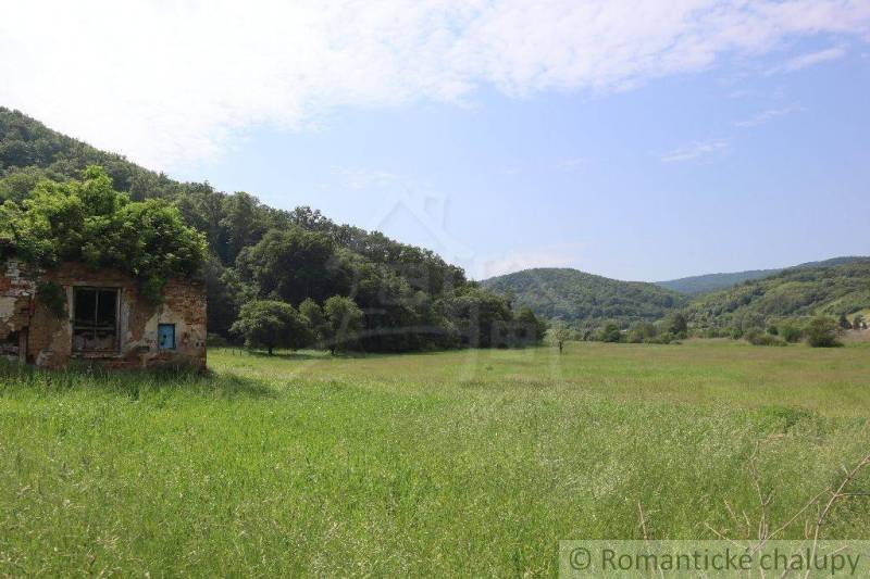 An old building overgrown with plants, nature, meadow and hills in the background, family house.