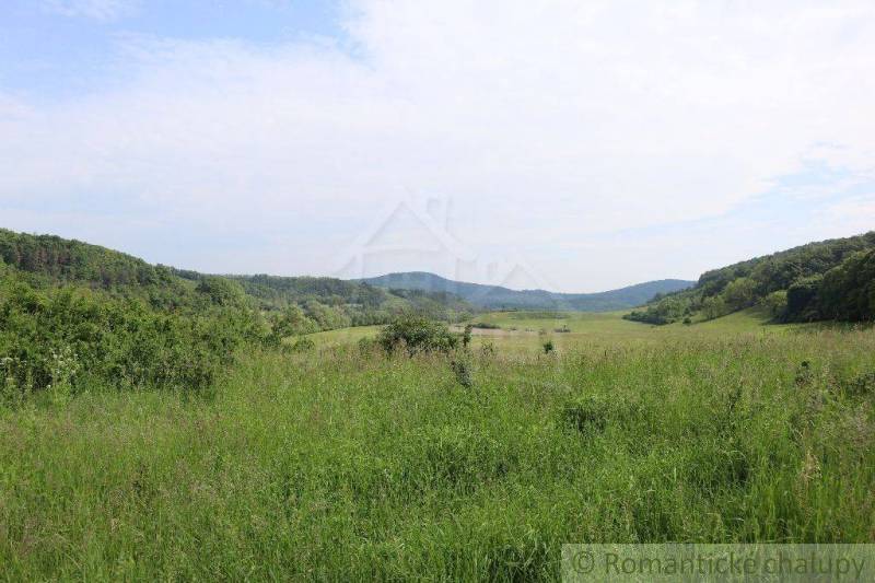 A green landscape with a meadow, surrounded by forest and hills, ideal for a family house.
