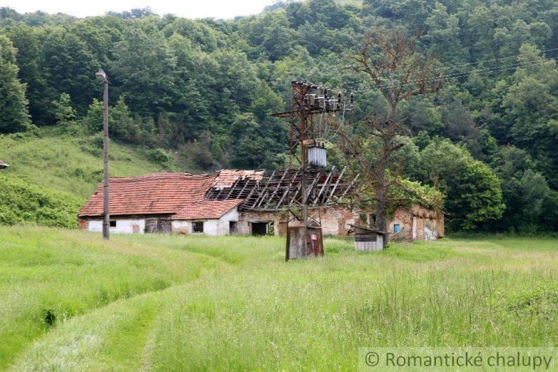 A ruin of a family house in nature surrounded by dense forest and power lines.