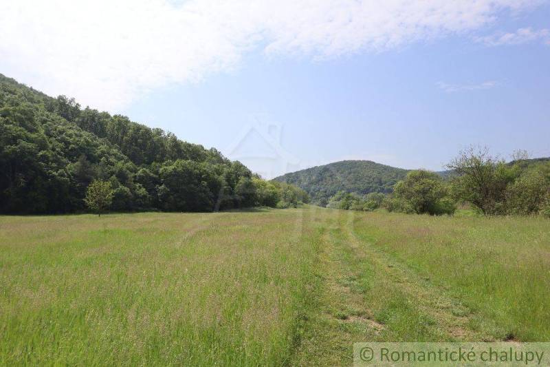 A green meadow surrounded by forests and countryside, ideal for a family house.