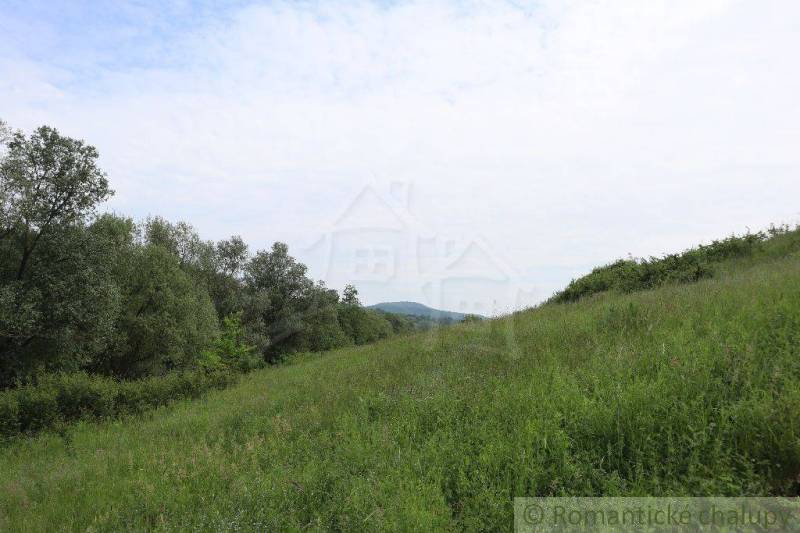 Green meadow with a hill and forest, ideal for a family house.