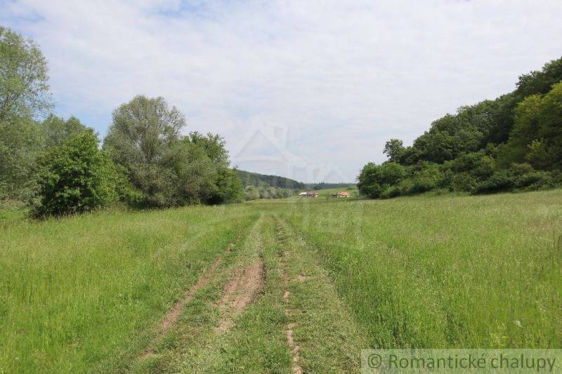 A dirt road leads to a family house, surrounded by greenery and nature.